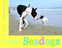 2010 Seadog Calendar